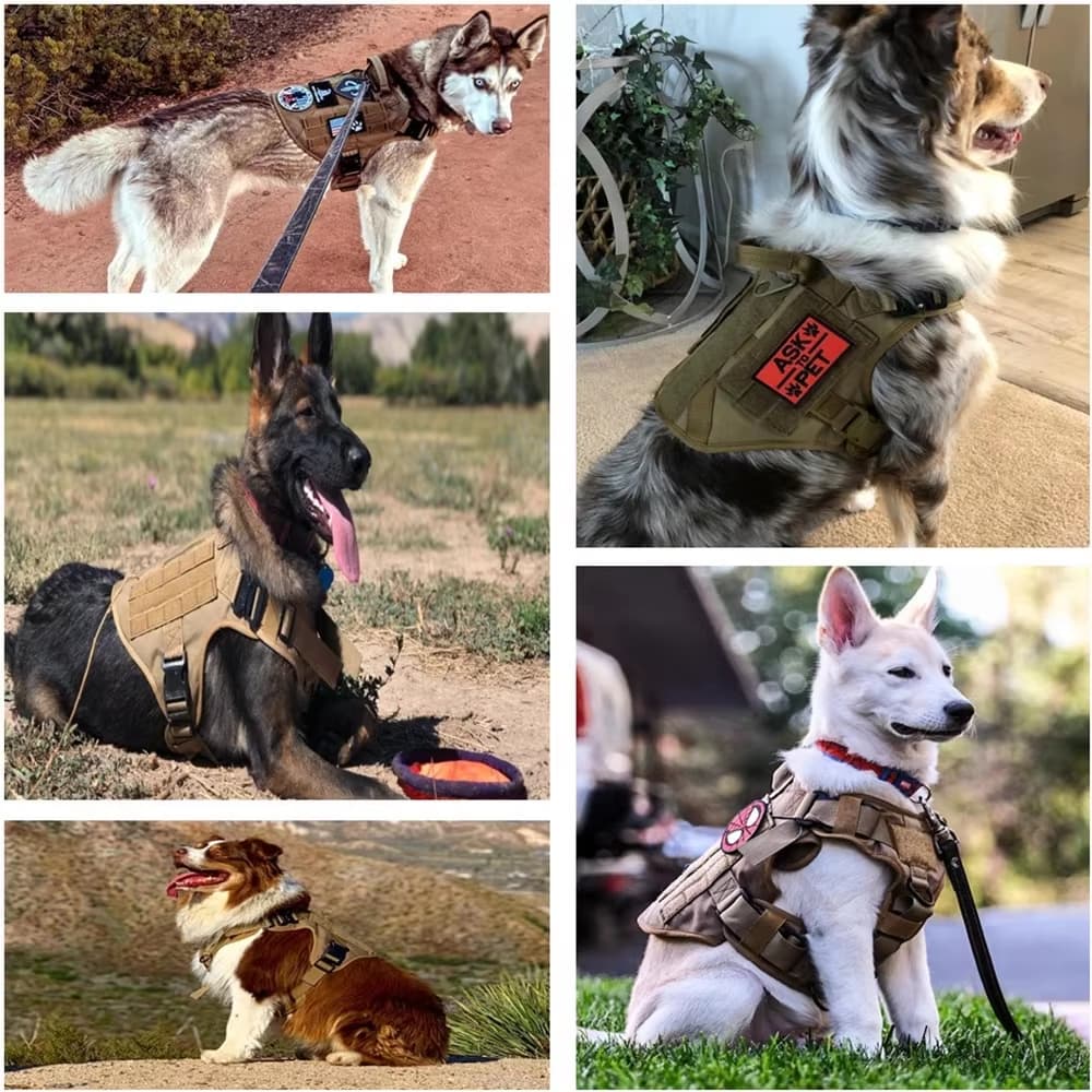 Pet Harness Luxury Dog Leash Set Chest Dog  Nylon Camouflage Dog Harness - image 4
