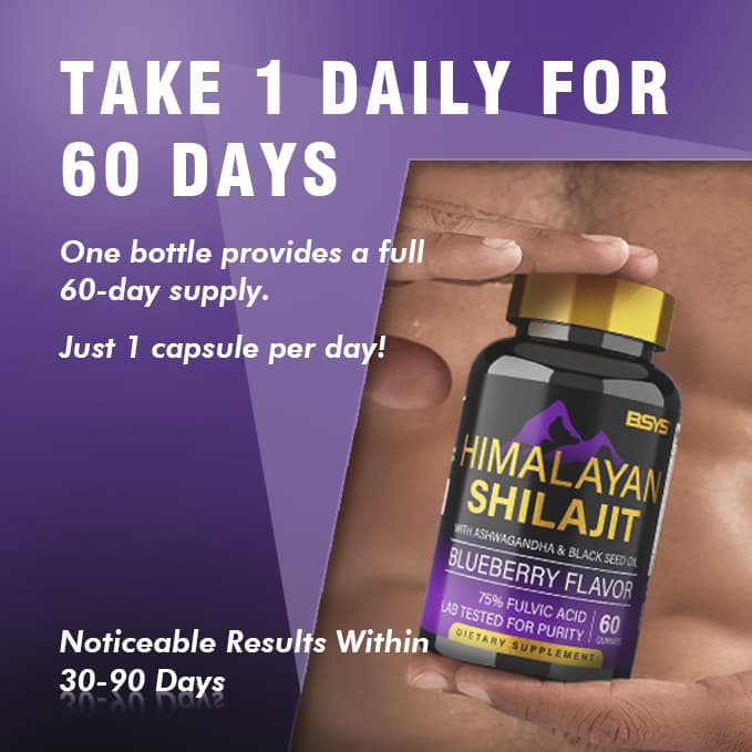 BSYS SHILAJIT GUMMIES 60'S - image 5