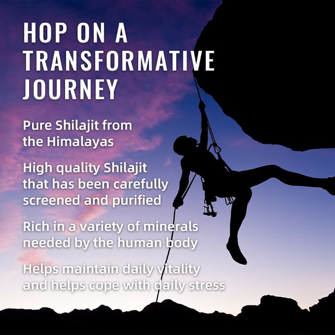 BSYS SHILAJIT GUMMIES 60'S - image 4