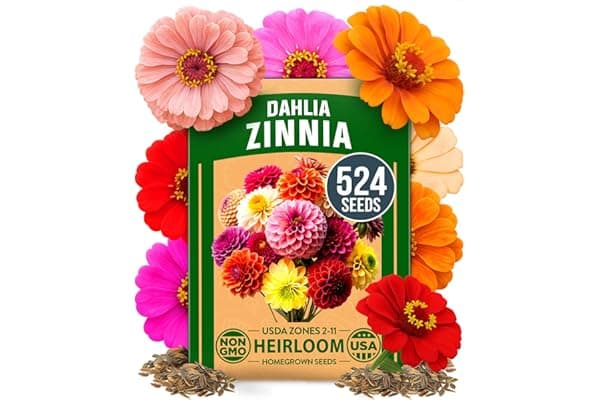 HOME GROWN Zinnia Dahlia Seeds Pack for 2026 Non GMO 524 Flower Seeds | Vibrant Zinnia Elegans for Pollinator Gardens, Borders & Containers | Easy-to-Grow Outdoor Blooms