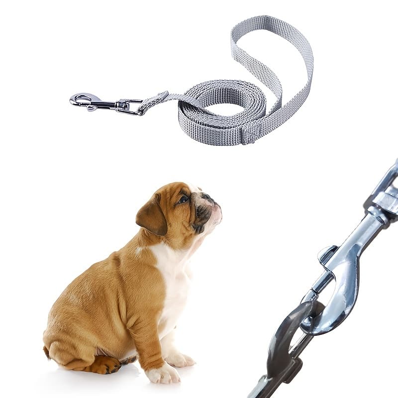 Pet Leash