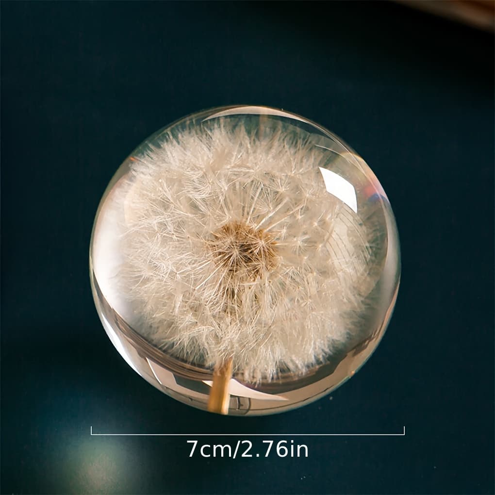 Dandelion Crystal Ball Translucent Decorative Ball Bedroom Study Room Ornaments Holiday Birthday Gift