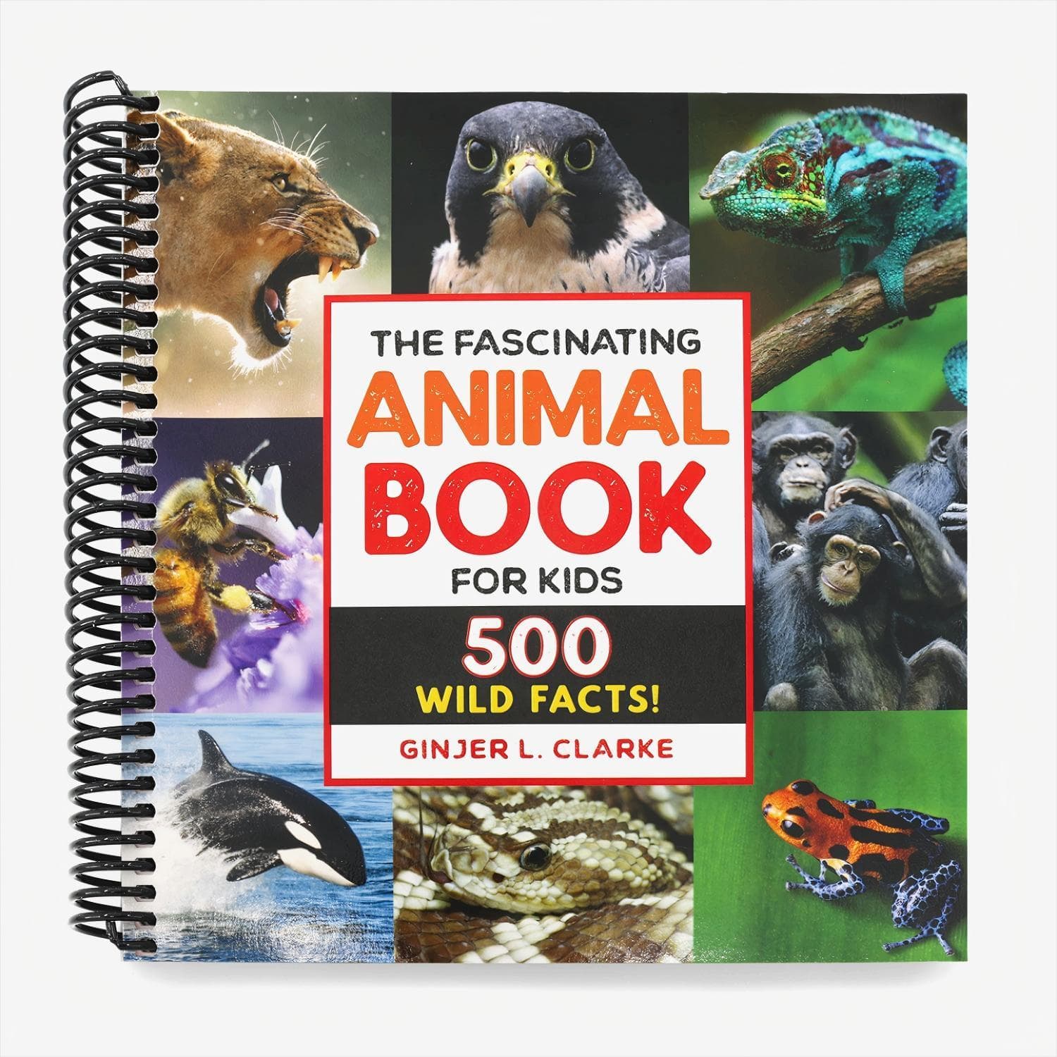 The Fascinating Animal Book For Kids: 500 Wild Facts! (fascinating Facts) (spiral-bound)