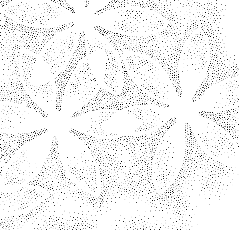 DELETER Jr. Screentone - 182 x 253mm - JR-509 (Flower Pattern) - image 2