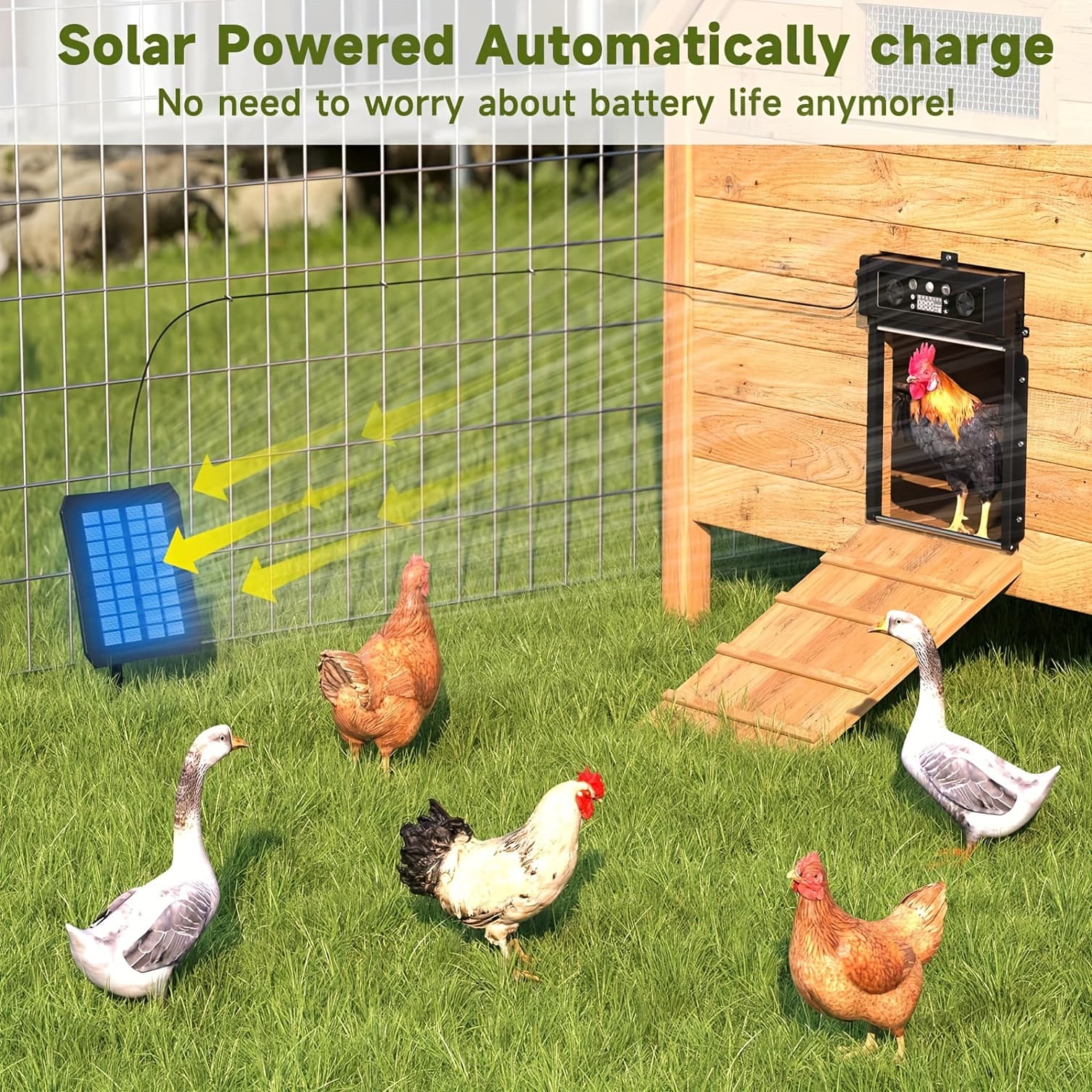 Solar Powered Automatic Chicken Coop Door With Timer & Light Sensor Durable Aluminum Alloy Anti-pinch Design, Includes Solar Panel Remote Control For Poultry