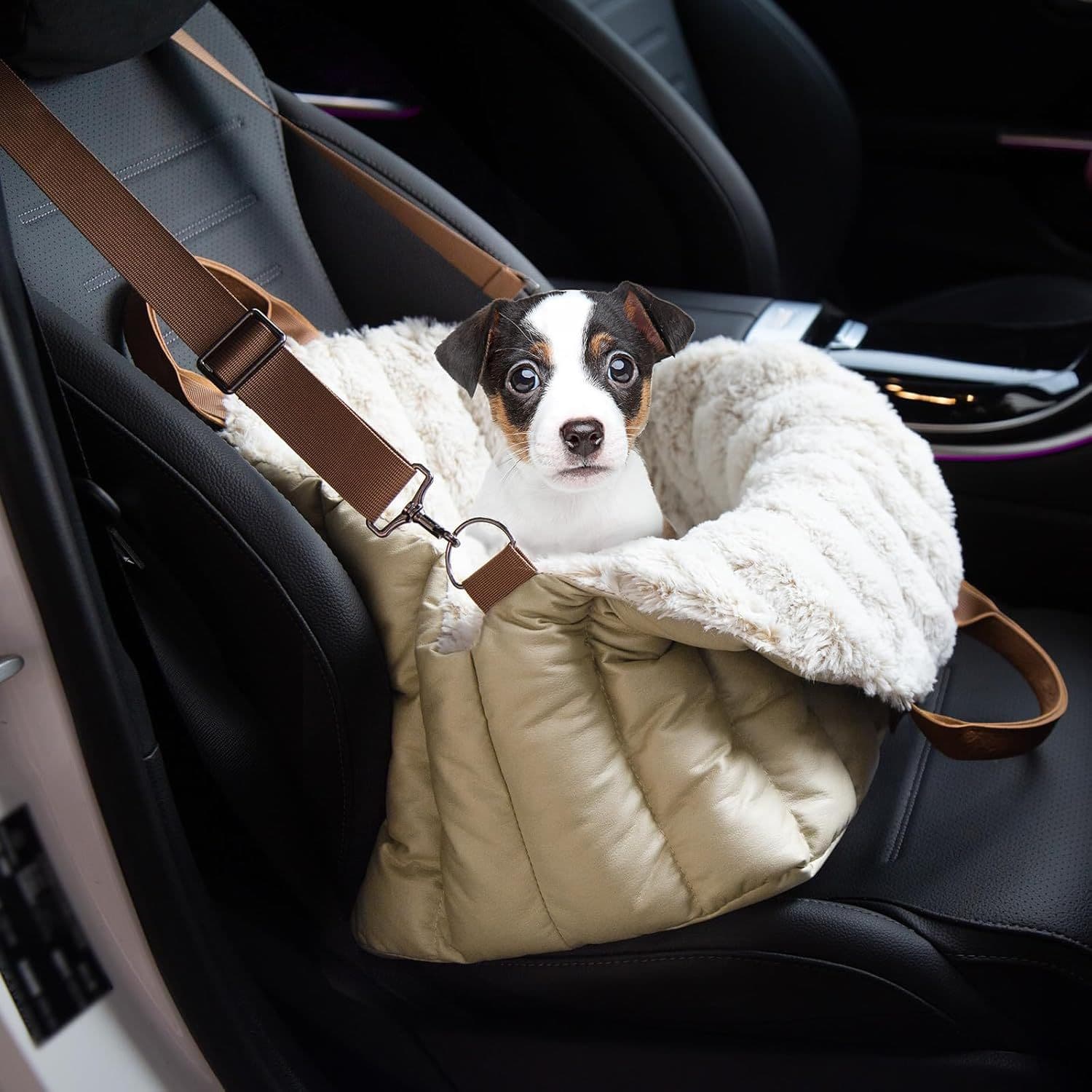 Clevahome Small Dog Car Seat & Travel Carrier & Pet Bed, Soft Fleece Interior For Dogs Up To 10lbs, Stylish Pet Travel Tote For Indoor And Outdoor Use (eucalyptus)