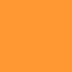 DELETER Neopiko-2 Dual-tipped Alcohol-based Marker - Golden Orange (531)